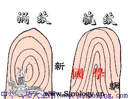 手指纹占卜_指纹-手巧-占卜-性格-