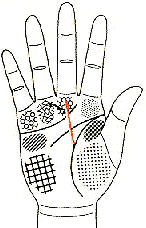 手相事业线图解_手相-线图-生命线-事业-