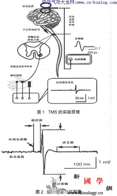 健身气功八段锦队冥想状态对中枢神经系统影响的_气功-冥想-皮层-健身-