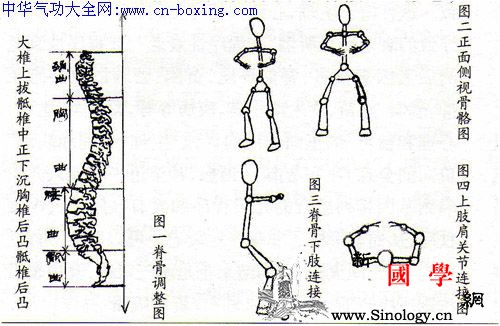 结构模式中的抻筋拔骨:图解静态下的劲力训练-_劲力-脊骨-模式-结构- ()