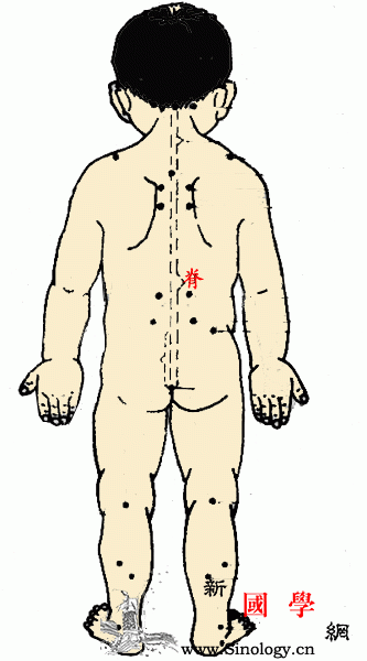 人体穴位总图_璇玑-天泉-阳关-穴位-