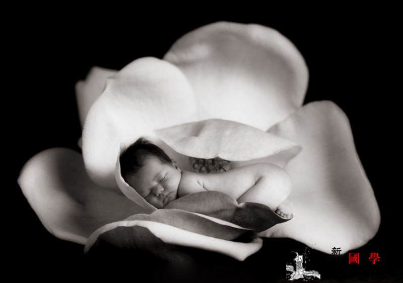 哪些遗传病不宜结婚或生育_产前诊断-遗传病-遗传性-妊娠-遗传优生