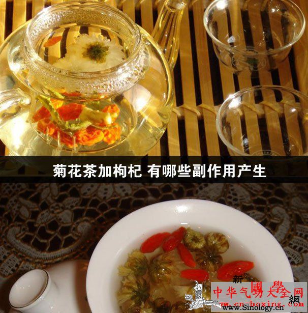 菊花茶加枸杞有哪些副作用产生_枸杞-扦插-菊花茶-菊花-