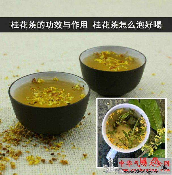 桂花茶的功效与作用桂花茶怎么泡好喝_功效-陈皮-脾胃-泡茶-
