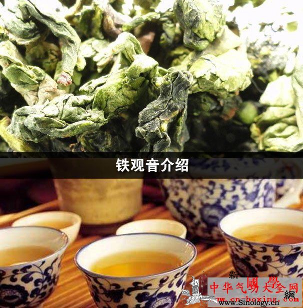 铁观音介绍_铁观音-饮茶-抗癌-氧化-
