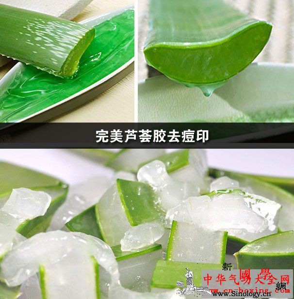 完美芦荟胶去痘印_芦荟-粘液-收敛-功效-