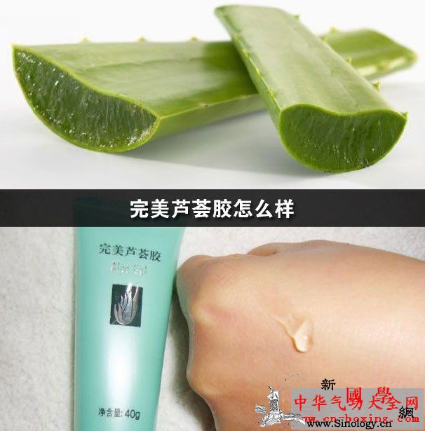 完美芦荟胶怎么样_芦荟-草本植物-粘液-止痒-