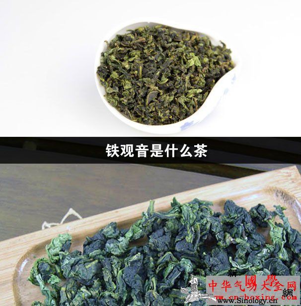 铁观音是什么茶_铁观音-龋齿-茶树-乌龙茶-