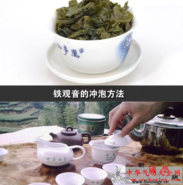 铁观音的冲泡方法_儿茶素-铁观音-脂蛋白-冲泡-