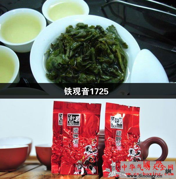 铁观音1725_铁观音-乾隆-茶树-脂肪酸-