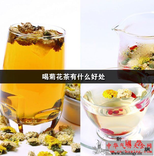 喝菊花茶有什么好处_菊花茶-菊花-上班族-视力-