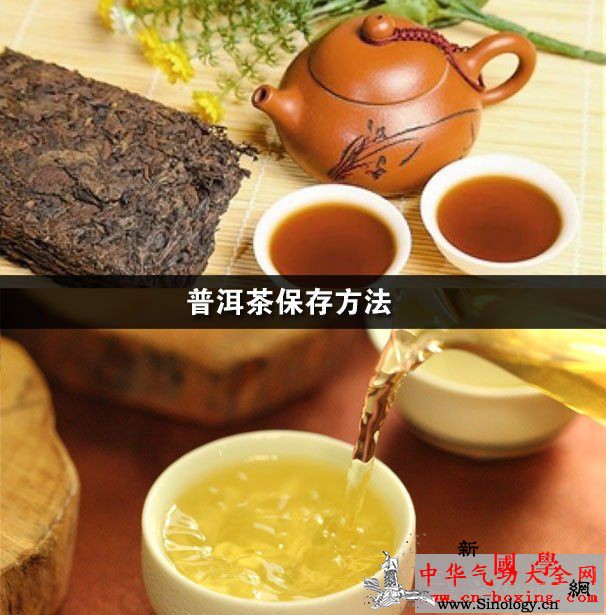 普洱茶保存方法_普洱-普洱茶-茶缸-异味-