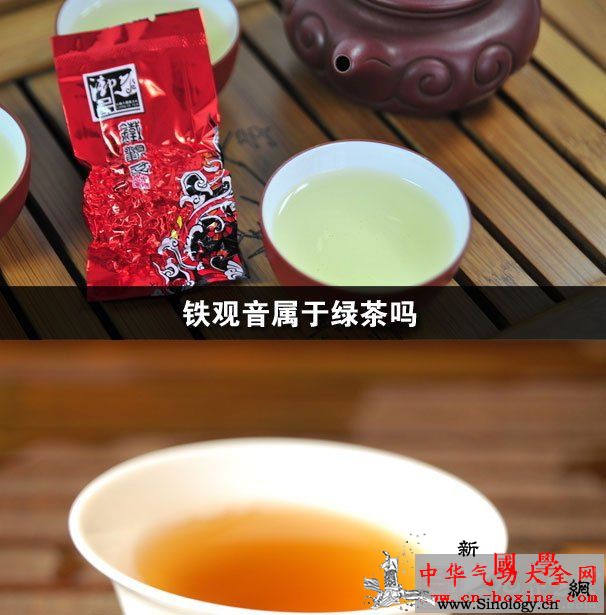 铁观音属于绿茶吗_铁观音-咖啡碱-绿茶-茶汤-