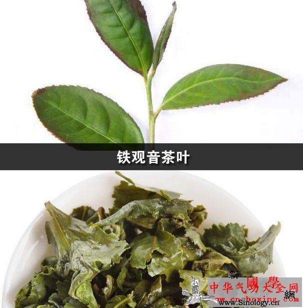 铁观音茶叶_铁观音-茶叶-乌龙茶-福建-