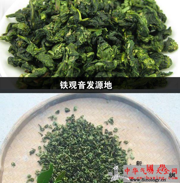 铁观音发源地_铁观音-乌龙茶-抗癌-氧化-