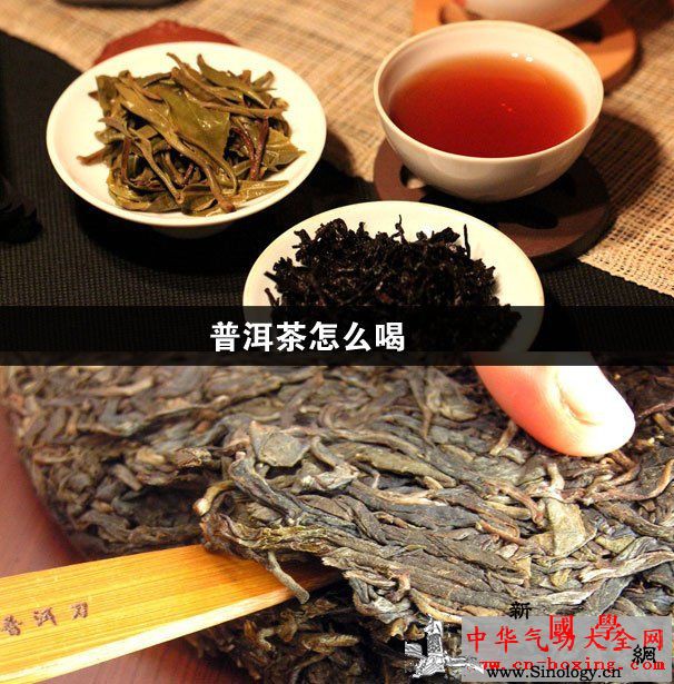 普洱茶怎么喝_儿茶素-普洱茶-冲泡-云南-