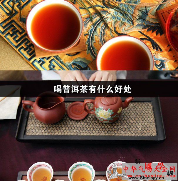 喝普洱茶有什么好处_儿茶素-普洱-普洱茶-云南-