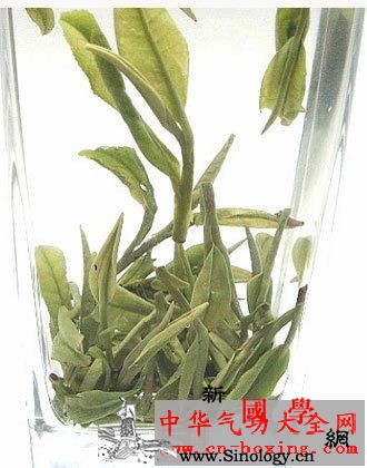 二根茴香酒_凌霄花-调经-茴香-米酒-