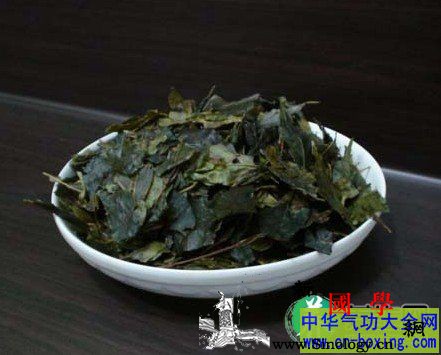 苦丁茶的功效与药用价值_苦丁茶-功效-冲泡-消炎-