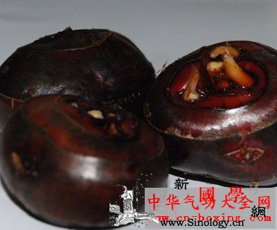 地龙酒_候温-荸荠-米酒-清热-