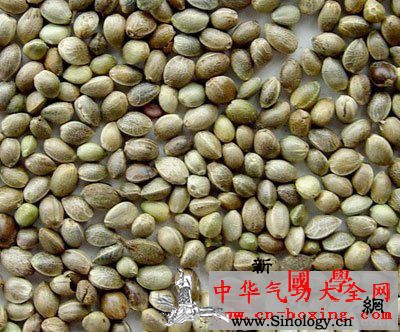 麻仁酒_火麻仁-药渣-薄层-乙醚-