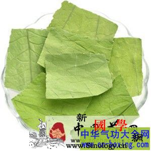 夏季9种茶消暑防暑_防暑-夏季-消暑-沸水-