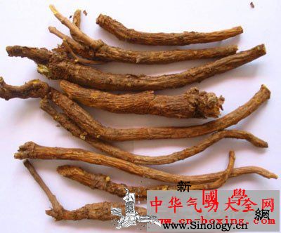 黄芩泡酒_燥湿-口疮-黄芩-湿热-