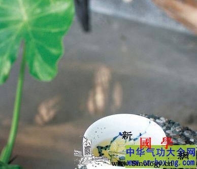 喝茶养生的真相！别认为茶是万能药_霉变-喝茶-养生-咖啡因-