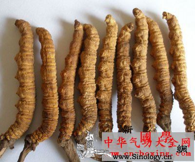 何首乌酒_精血-何首乌-须发-黑芝麻-