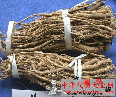 黄芪天麻酒_葛根-白术-黄芪-防风-