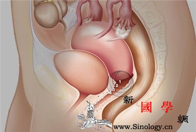 女性不孕需要做什么检查_卵子-排卵-宫颈-卵巢-不孕不育