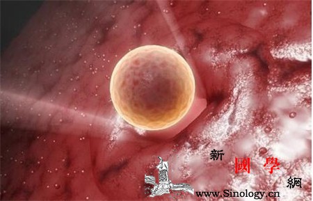 人工受孕出血是怎么回事_会有-受精卵-着床-受精-不孕不育