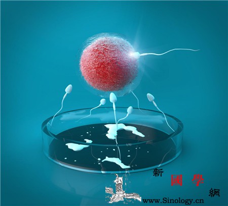 做了试管婴儿能顺产吗_试管婴儿-顺产-着床-冬瓜汤-不孕不育