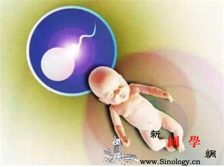 女性做试管婴儿前的检查项目有哪些_卵泡-试管婴儿-输卵管-检查结果-不孕不育