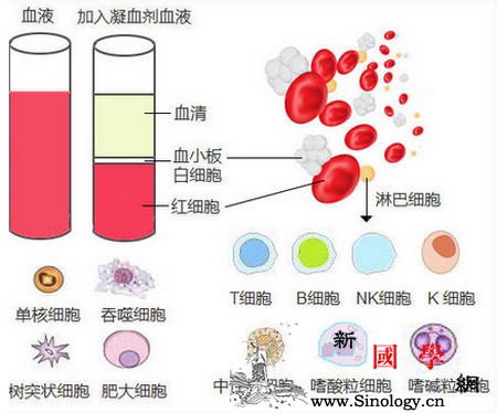 哪些孕妇不能生男孩？这三类人不能生男孩有你_血友病-蚕豆-出血-遗传-生男生女