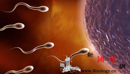 不孕症状原因及处置方法_输卵管-检查-原因-治疗-不孕不育