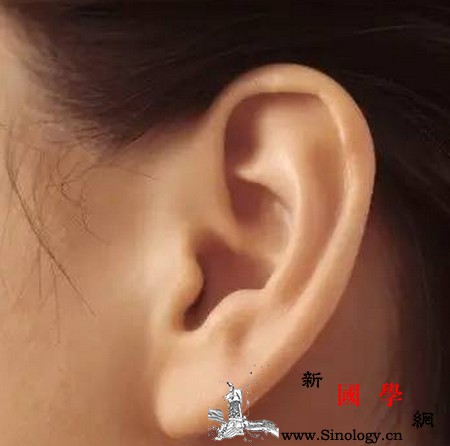 仔细留意这些细节就能看出是否怀男!_耳垂-眉毛-几率-生殖-生男生女