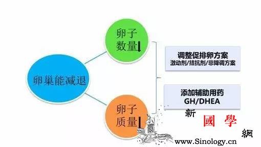生长激素是卵巢功能减退者助孕的希望_卵泡-生长激素-卵巢-生殖-怀孕准备