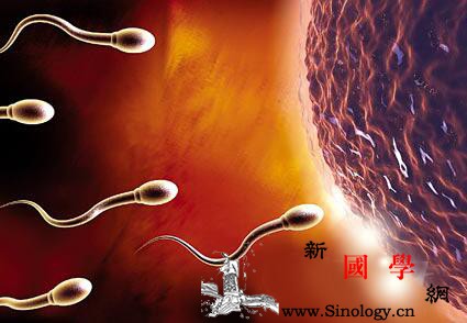 精子在体外能存活多久_精子-性交-存活-温度-两性知识