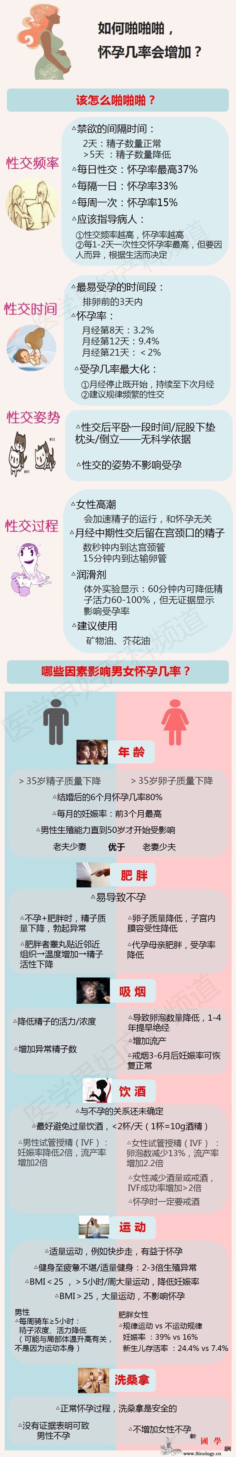 如何啪啪啪怀孕几率会增加？_凯撒-啪啪-受孕-几率-怀孕准备