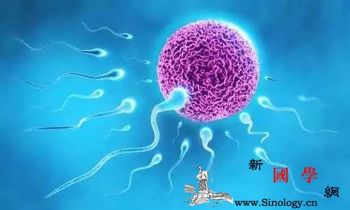 想要优生宝宝丈夫怎么做？_氯乙烯-孕期-精子-胎儿-遗传优生