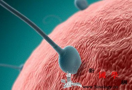 想根据基础体温监测排卵你的测量姿势正确吗？_排卵-受孕-水银柱-测量-孕前检查