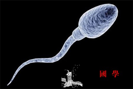 生男孩跟精子有关系吗_性激素-精子-富含-食物-生男生女