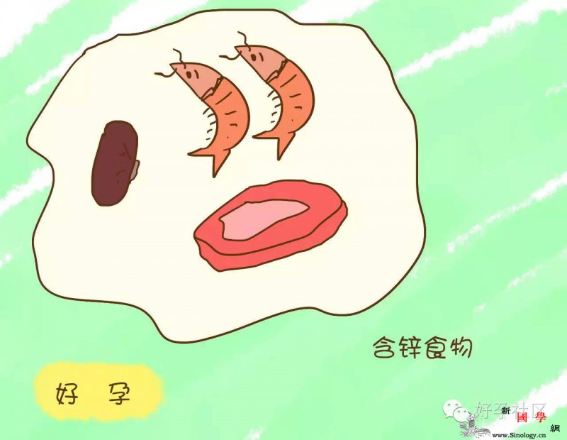 备孕期多吃这些食物不仅能快速好孕还能提高精_孕期-精子-食物-质量-孕前饮食