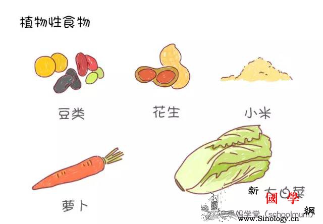 备孕饮食禁忌太多？其实抓住这几个重点就够了！_食物-营养元素-性激素-植物性-孕前饮食