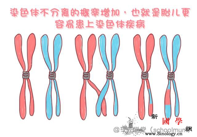 36岁大龄准妈头胎备孕成功好孕经验分享：这_头胎-羊水-穿刺-产前诊断-怀孕准备