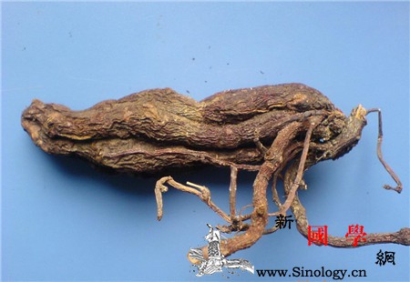 男性射精快吃什么比较好_李时珍-何首乌-肾虚-射精-两性知识