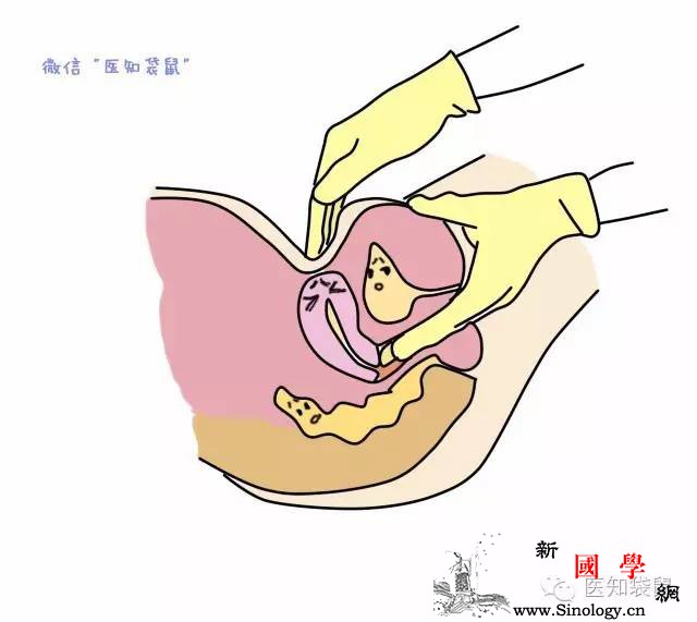 能不能怀孕抽血就知道？内分泌检查这么神奇？_催乳素-卵泡-垂体-雌激素-孕前检查