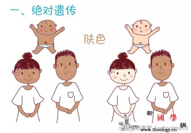 好奇宝宝将来会从你和老公身上分别遗传到什么基_遗传-父母-秃头-双眼皮-遗传优生