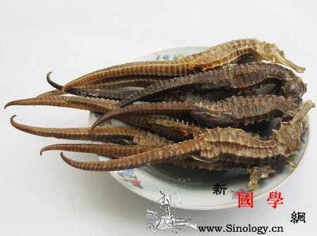 吃什么东西可以壮阳_干贝-鲈鱼-肾虚-吃什么-两性知识